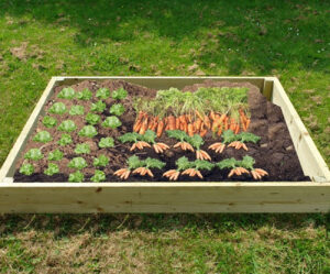 2m x 1m Raised Vegetable Bed