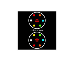 Mirror Me Game