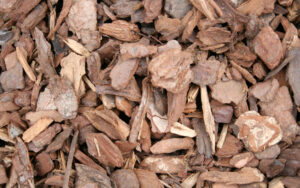 Playground-Bark