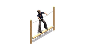 Rotating-Log-Walk